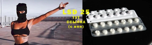 винт Абаза