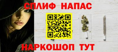 прущие грибы Конаково