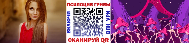 Псилоцибиновые грибы Psilocybe Комсомольск-на-Амуре